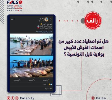 هل تم اصطياد عدد كبير من اسماك القرش الأبيض بولاية نابل التونسية ؟