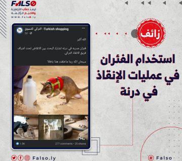 هل تم استخدام الفئران في عمليات الإنقاذ في درنة ؟