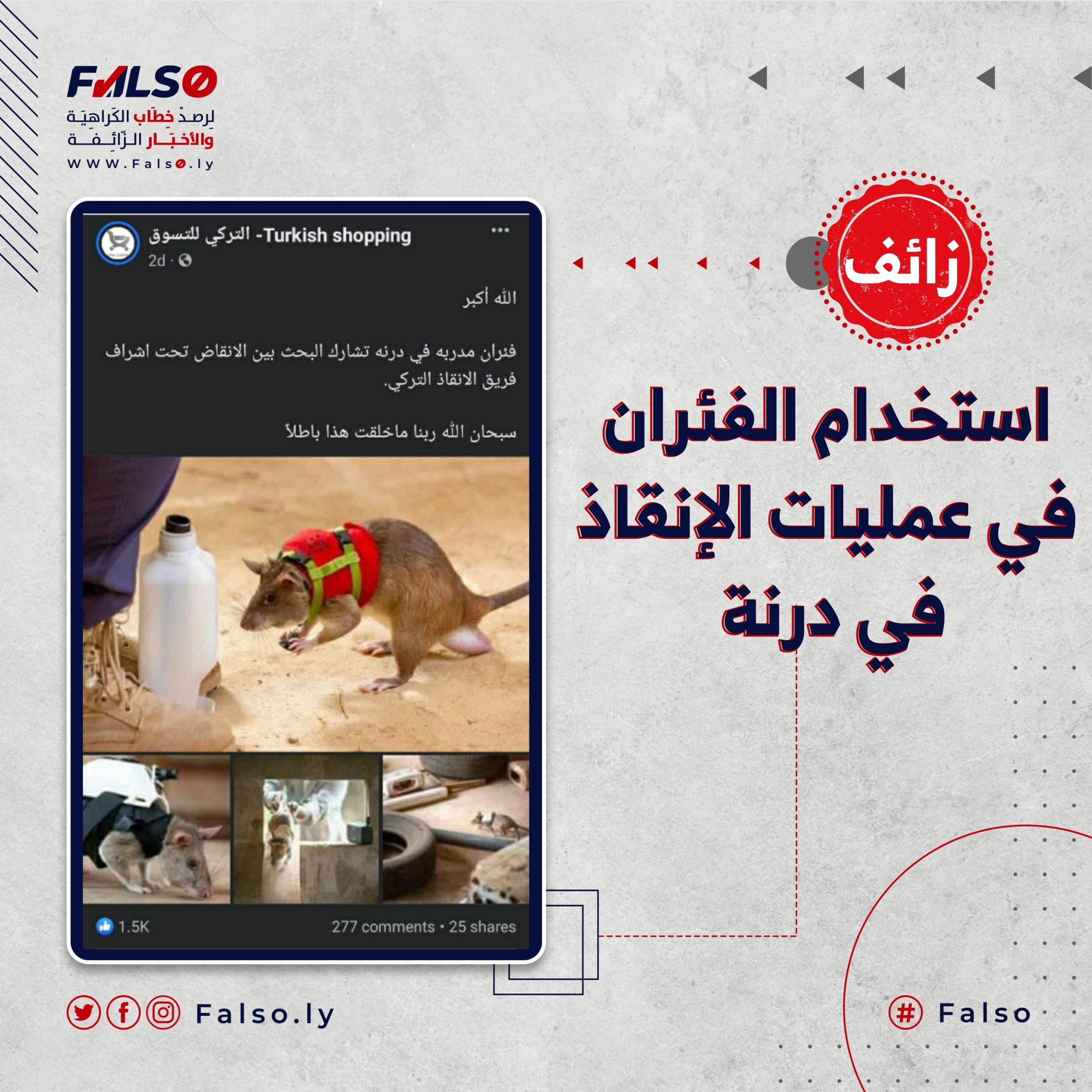 هل تم استخدام الفئران في عمليات الإنقاذ في درنة ؟