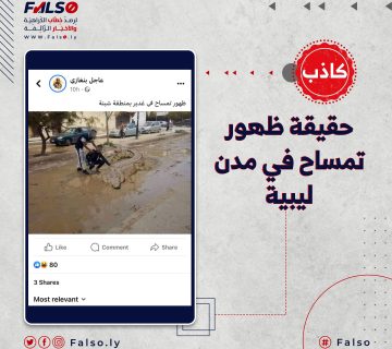 حقيقة ظهور تمساح في مدن ليبية.