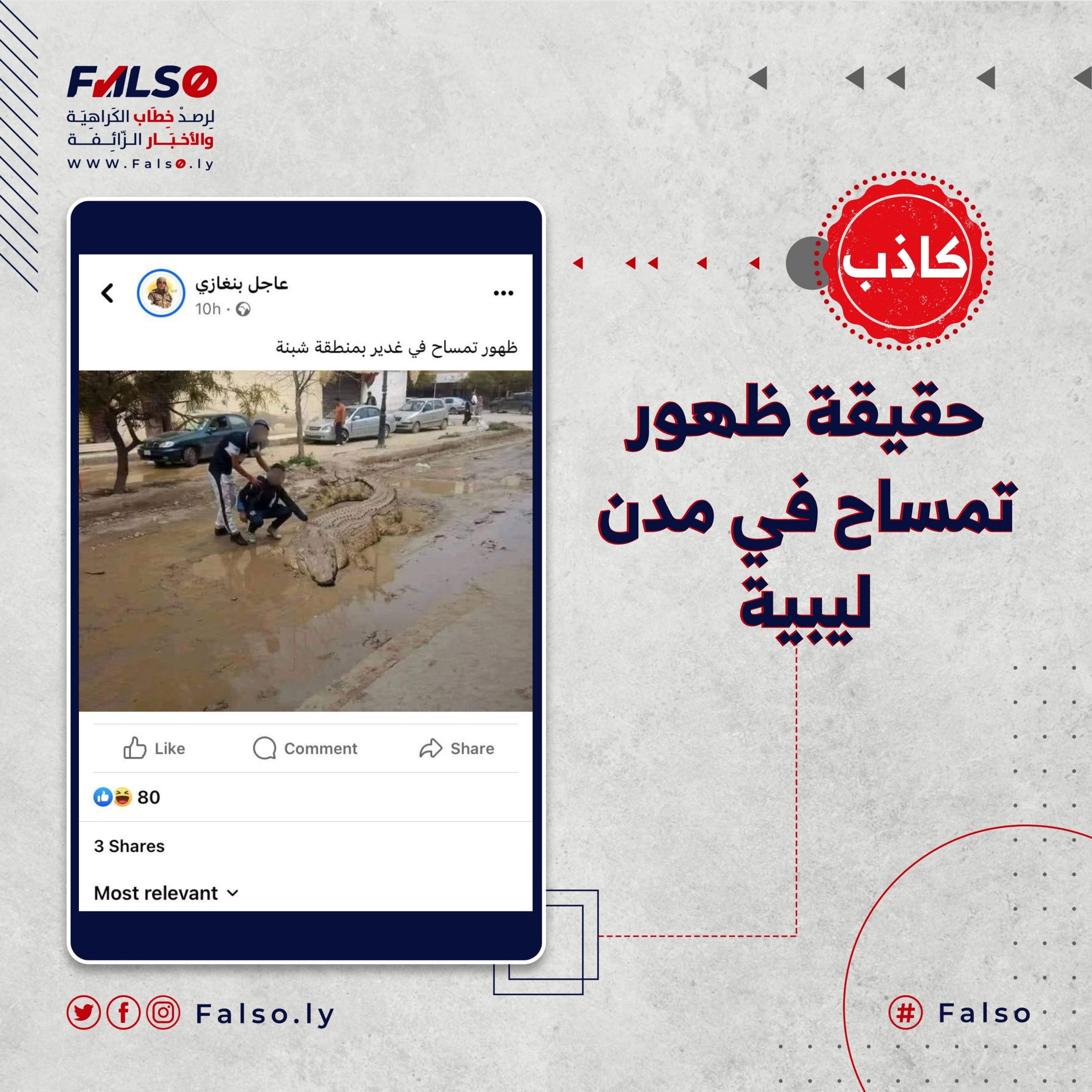 حقيقة ظهور تمساح في مدن ليبية.