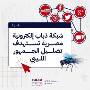 شبكة ذباب إلكتروني 1 300x300