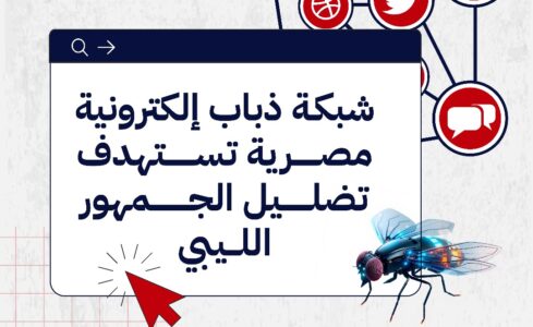 شبكة ذباب إلكتروني - 1