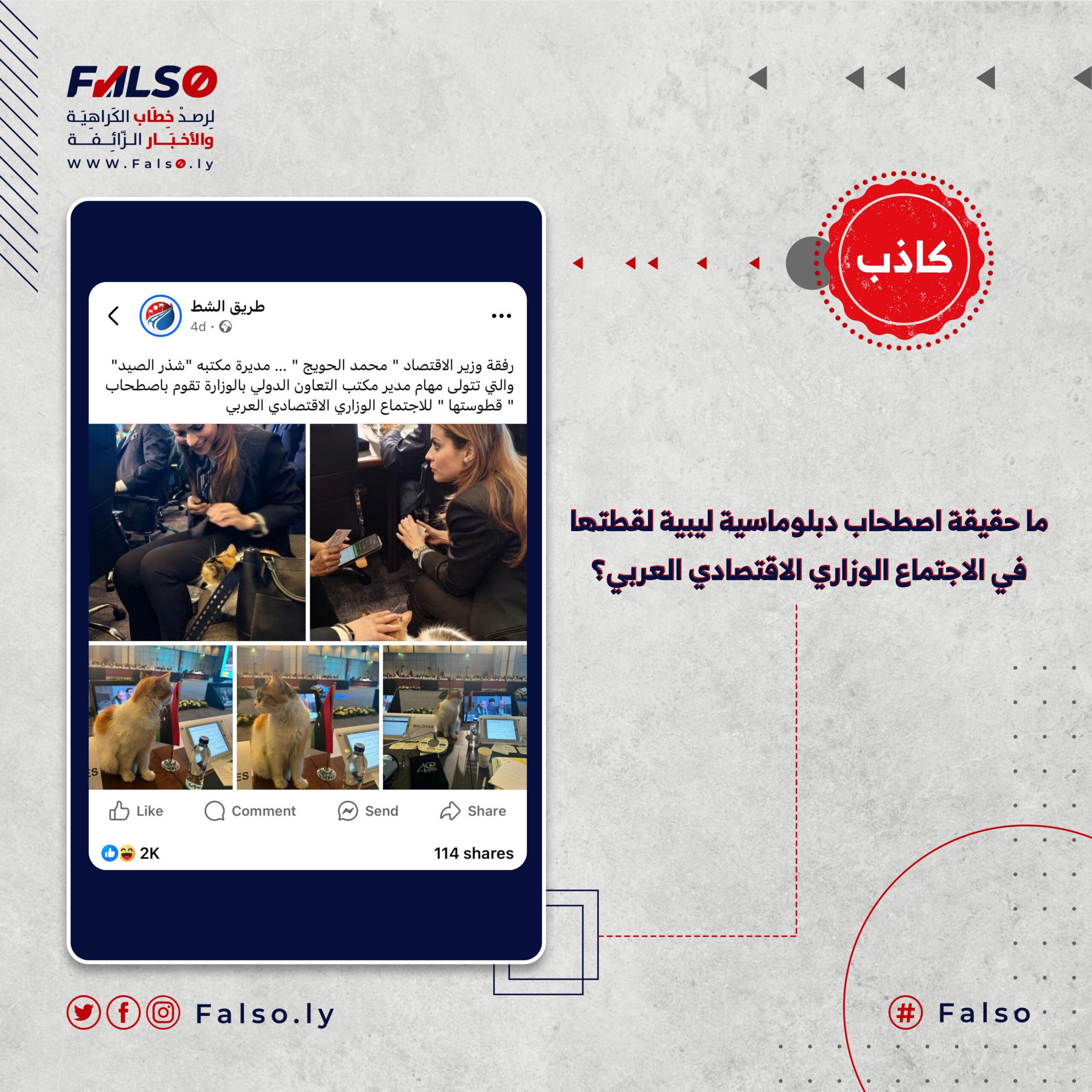 Image accompanying ما حقيقة اصطحاب دبلوماسية ليبية لقطتها في الاجتماع الوزاري الاقتصادي العربي؟
