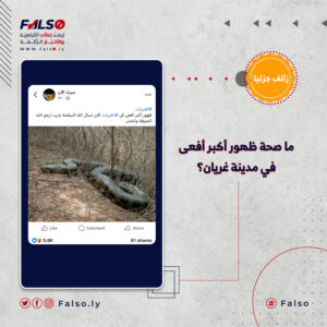 ما صحة ظهور أكبر أفعى في مدينة غريان؟ 300x300