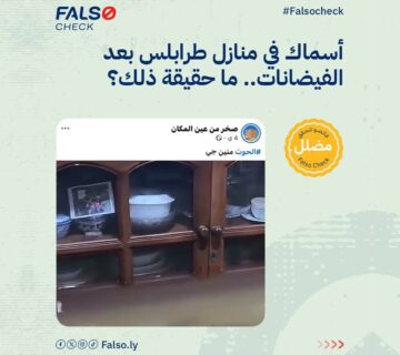 مقاس جديد 360x320